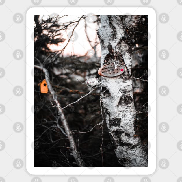 Mysterious Pointe a Bouleau Forest in Tracadie, New Brunswick Canada V3 Sticker by Family journey with God